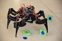 Spinnenroboter mit ITPL 3D Print